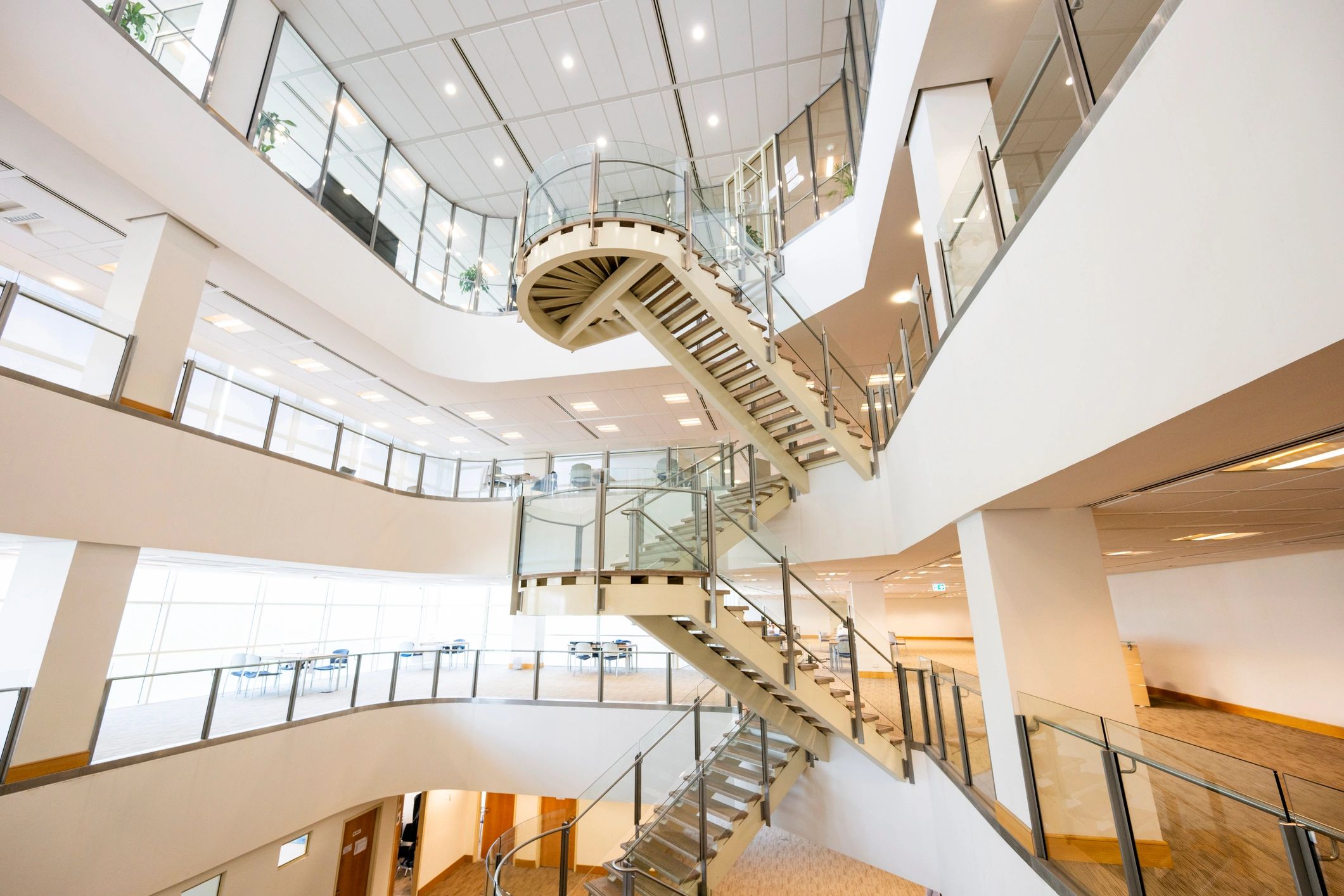 Modern library interior representing learning resources