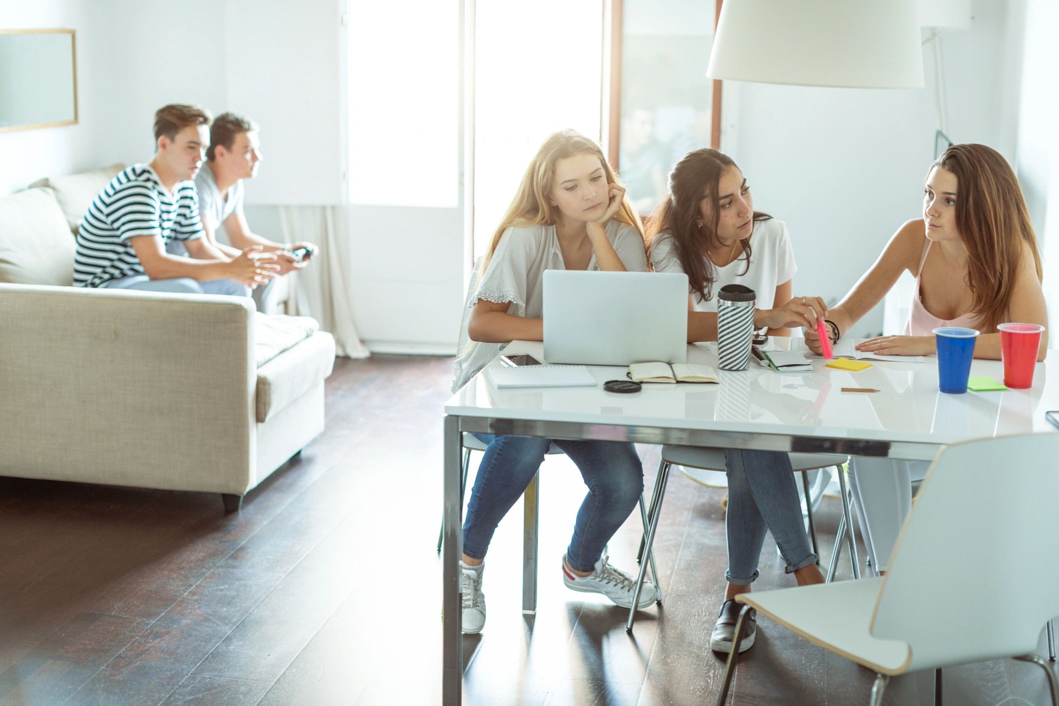 Students studying together in a common room